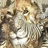 Tes Kepribadian: Gambar Pertama yang Dilihat Bisa Ungkap Kamu Pemberani atau People Pleaser