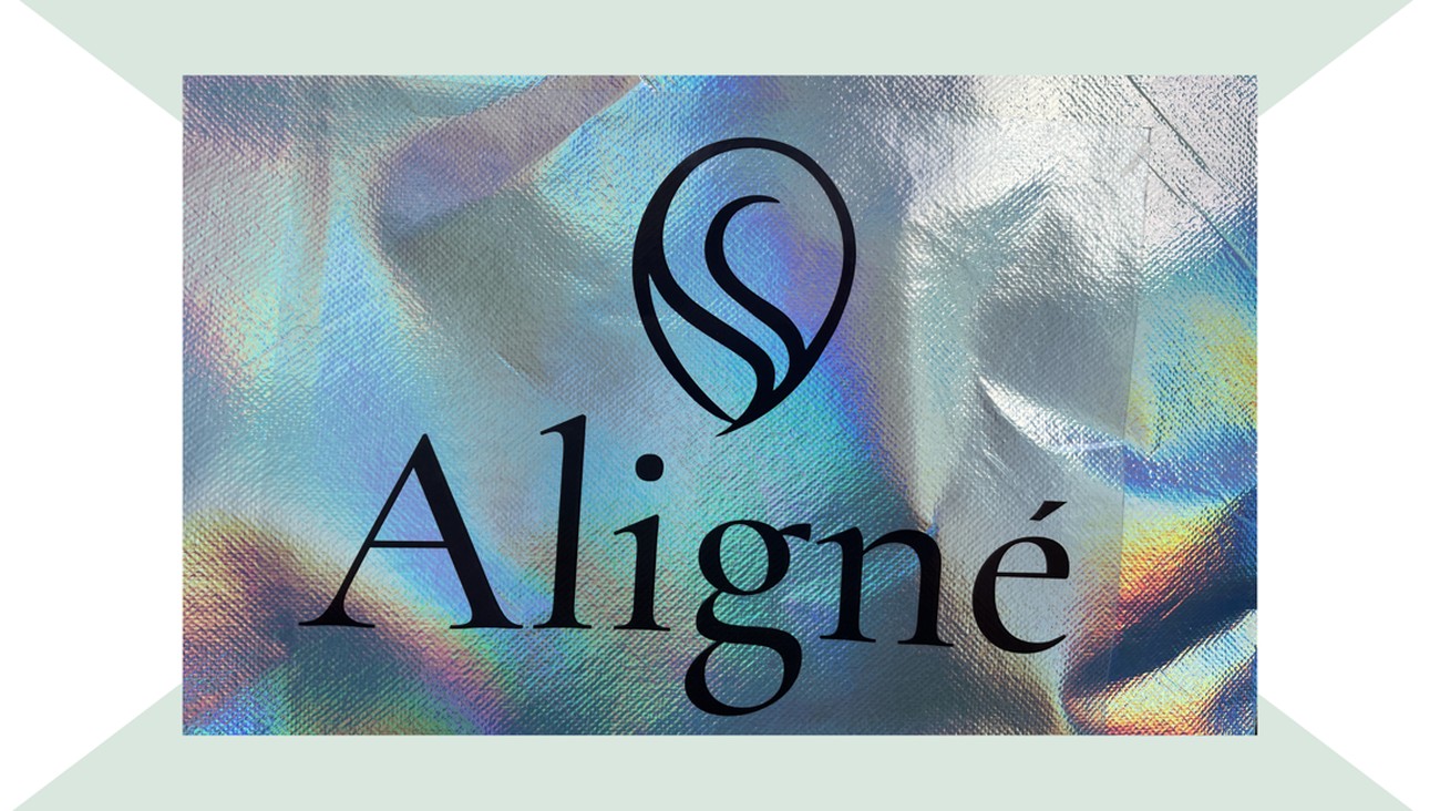 Menemukan Ruang Zen di Jantung Kota Jakarta: Aligne Studio Hadir SCBD Lot 4