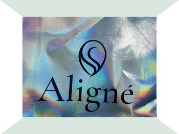 Menemukan Ruang Zen di Jantung Kota Jakarta: Aligne Studio Hadir SCBD Lot 4