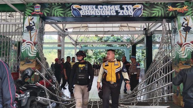 Konflik pengelolaan membuat Bandung Zoo di Jawa Barat resmi menutup operasionalnya mulai Rabu (6/8). Nasib satwa-satwa di Bandung Zoo jadi perhatian.