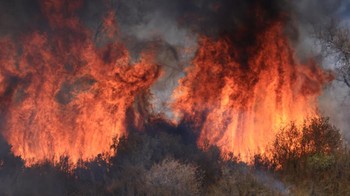 FOTO: 80 Ribu Hektare Lahan Hangus Imbas Kebakaran Hutan California