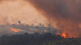 Kebakaran Hutan di Selatan Prancis, 11 Ribu Hektare Lahan Hangus