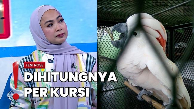 Putar Suara Burung di Kafe Kena Royalti, Feni Rose Komen Apa ya?