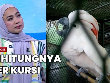 img-title Putar Suara Burung di Kafe Kena Royalti, Feni Rose Komen Apa ya?