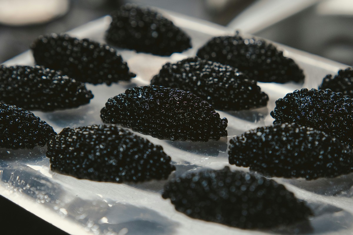 ilustrasi caviar