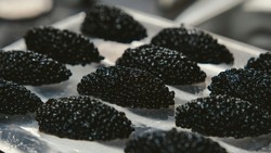Mengenal Siberian Caviar yang Diyakini Bikin Wajah Cerah dan Awet Muda