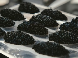 Mengenal Siberian Caviar yang Diyakini Bikin Wajah Cerah dan Awet Muda