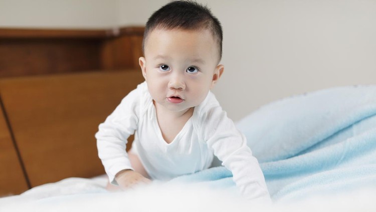Kecerdasan Anak Bisa Diprediksi Sejak Usia 7 Bulan Kecerdasan Anak Bisa Diprediksi Sejak Usia 7 Bulan