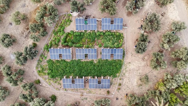 Negara-negara berlomba meningkatkan kapasitas energi terbarukan, dengan proyeksi energi bersih melampaui batu bara pada 2025. Namun, tantangan emisi tetap ada.