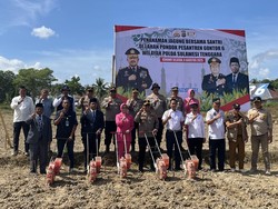 Dukung Ketahanan Pangan, Gontor 6-Polres Konsel Tanam Jagung di Lahan 3,5 Ha