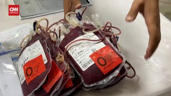 VIDEO: Penampakan Pengiriman Bantuan Medis WHO & UEA ke Gaza