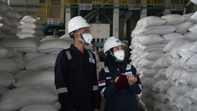 Jaga Stok Beras Berkualitas, Sucofindo Fumigasi Gudang Bulog Jatim