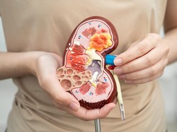 6 Cara Sederhana untuk Meningkatkan Kesehatan dan Fungsi Ginjal, Mudah Dilakukan
