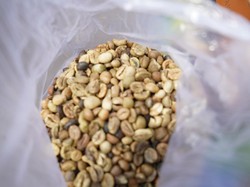 19,8 Ton Kopi Sumsel Diekspor ke Malaysia, Nilai Ekonominya Rp 1,2 Miliar