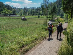 Kunjungan Wisatawan Gunung Bromo Menurun pada Agustus 2025