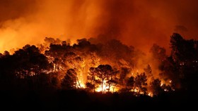 FOTO: Kebakaran Besar Hutan di Prancis, 11 Ribu Hektare Lahan Hangus