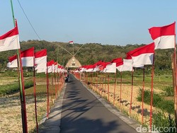 Cantiknya Sawah Seribu Bendera Merah Putih di Dobangsan Kulon Progo