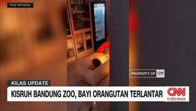 VIDEO: Kisruh Bandung Zoo, Bayi Orangutan Terlantar
