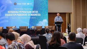 Konservasi Indonesia Rilis Buku Ekowisata Mangrove Andamata