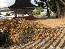 Pakar UGM Kritik Pembakaran Sampah di Mandala Krida, Ingatkan Bahaya Polusi
