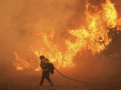 Kebakaran Hutan Kembali Landa Los Angeles, Ribuan Orang Ngungsi