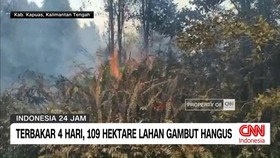 VIDEO: Terbakar 4 Hari, 109 Hektare Lahan Gambut di Kapuas Hangus