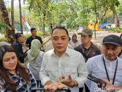 Walkot Eri Ingin Datangkan Gorila Eropa ke Kebun Binatang Surabaya