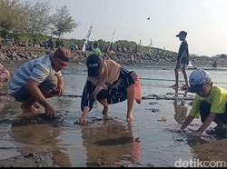 Video: Meriahkan Bulan Kemerdekaan, Warga Probolinggo Lomba Cari Kerang