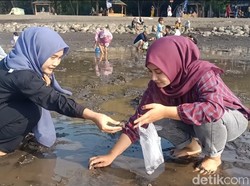 Warga Probolinggo Asyik Ikuti Festival Cari Kerang Sambut HUT ke-80 RI