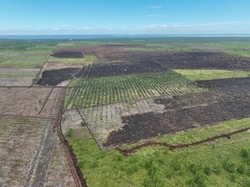 Potret Udara 100 Ha Lahan di Bengkalis Usai Dibakar 2 Tersangka