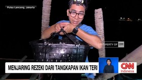 VIDEO: Menjaring Rezeki Dari Tangkapan Ikan Teri