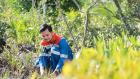 Pertamina Kembangkan Mangrove dan Pengelolaan Sampah di Kamal Muara