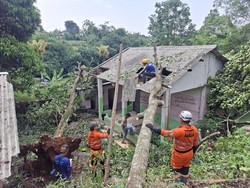 BPBD Bogor Catat 20 Bencana Imbas Hujan Deras Semalam: Longsor-Kebakaran
