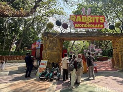 KBS Punya Wahana Baru Rabbits In Wonderland, Bisa Main Bareng Kelinci