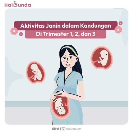 Detik Network