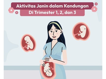 Aktivitas Janin dalam Kandungan di Trimester 1, 2, dan 3