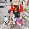 "Kucingku" dari Kino Indonesia Rayakan Cat International Day Lewat Aksi Peduli Kucing Jalanan