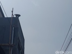 Teror Monyet Jumbo Bikin Resah Warga Melong Cimahi