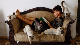 7 Kepribadian Orang yang Menyukai Kucing, Benarkah Lebih Cerdas?