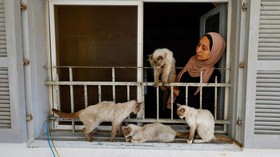 FOTO: Wanita Gaza Merawat Kucing-kucing di Tengah Krisis Kelaparan