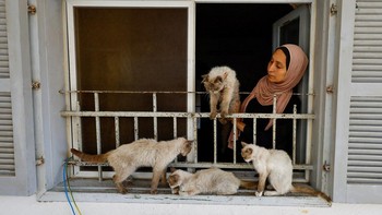 FOTO: Wanita Gaza Merawat Kucing-kucing di Tengah Krisis Kelaparan