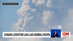 VIDEO: Gunung Lewotobi Laki-Laki Kembali Erupsi