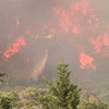 VIDEO: Penampakan Si Jago Merah Makin Meluas Bakar Hutan Spanyol