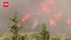VIDEO: Penampakan Si Jago Merah Makin Meluas Bakar Hutan Spanyol