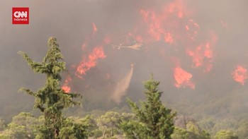 VIDEO: Penampakan Si Jago Merah Makin Meluas Bakar Hutan Spanyol