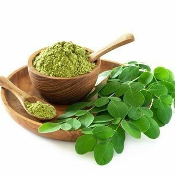 Disebut Pohon Ajaib, Ternyata Ini Sederet Manfaat Daun Kelor untuk Kesehatan