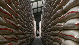FOTO: Kian Mahal Harga Beras Kala Stok Bulog Melimpah