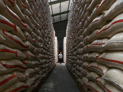 FOTO: Kian Mahal Harga Beras Kala Stok Bulog Melimpah