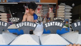 Harga Beras di Jakarta Masih Naik, Pedagang Ungkap Penyebabnya