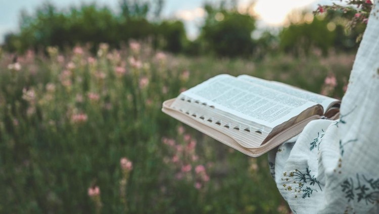 Open bible in hands close-up, concept of calmness and morning solitude.